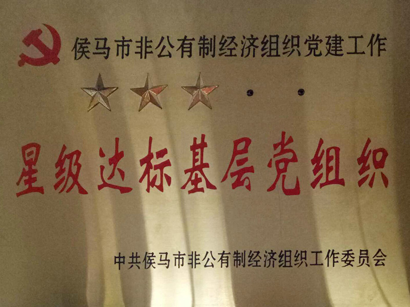 星級(jí)達(dá)標(biāo)基層黨組織
